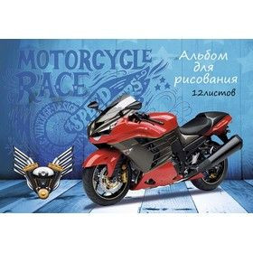 Альбом для рисования А4 12л. TM Profit