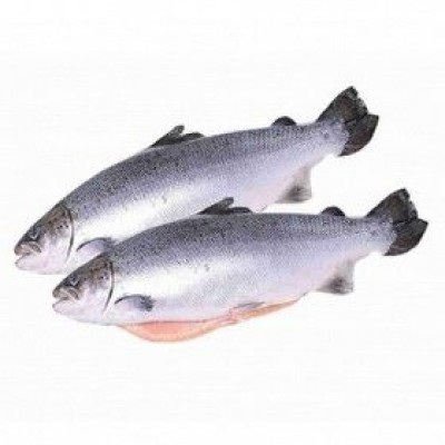 Горбуша с/м с головой, потрошеная, ОКЕАНРЫБФЛОТ