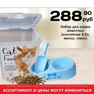 Ленор